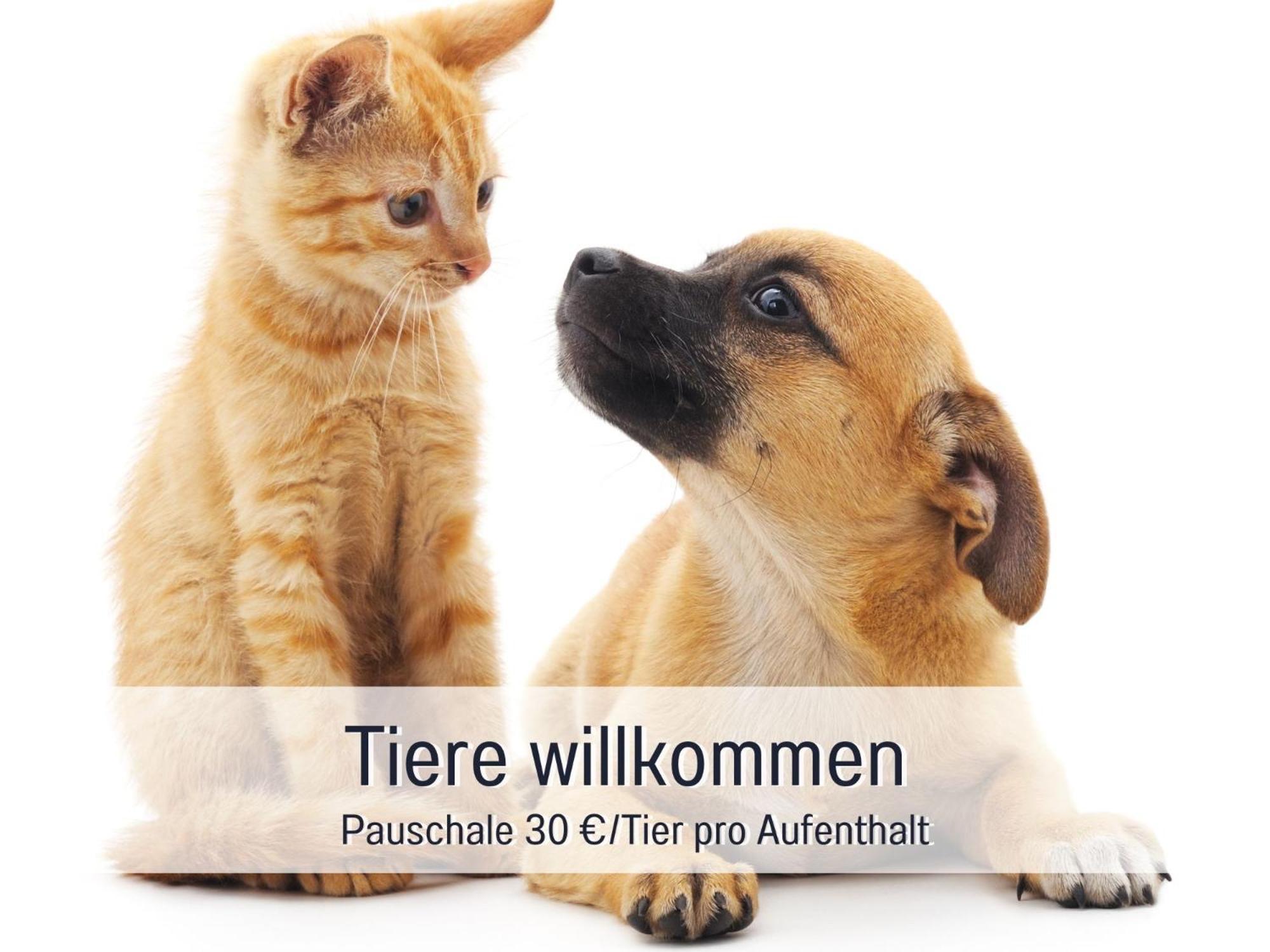 Rosmarin - Kuschelige Fewo - Romantik & Entspannung Im Whirlpool Auf Privater Terrasse, Ruhe & Hund Willkommen - By Ferienwohnenamsee - Uberlingen Exterior foto